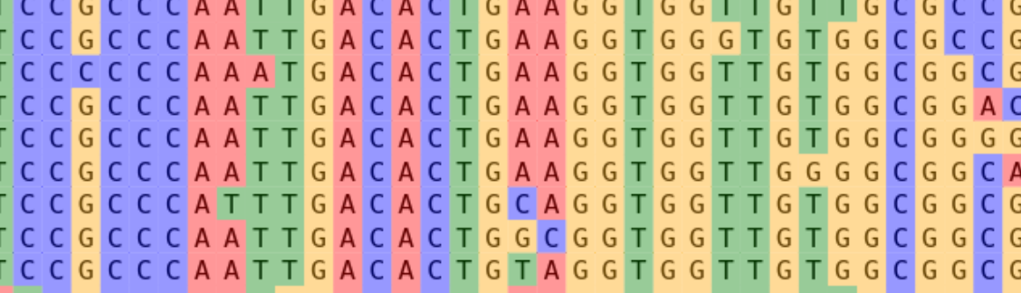 Variant Analysis